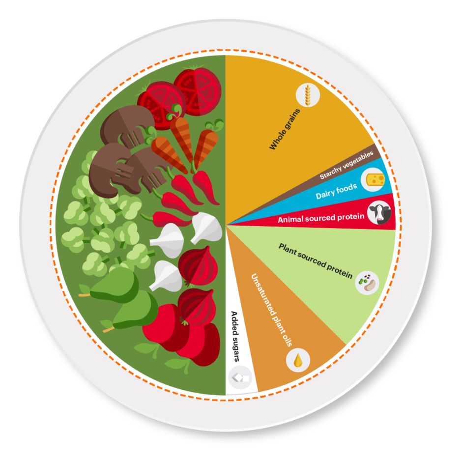 EAT-Lancet plate, half vegetables, half sensible choices